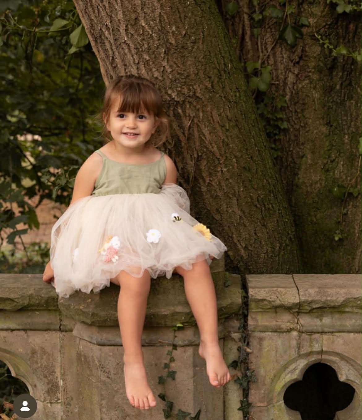 Tutu Birthday Dress